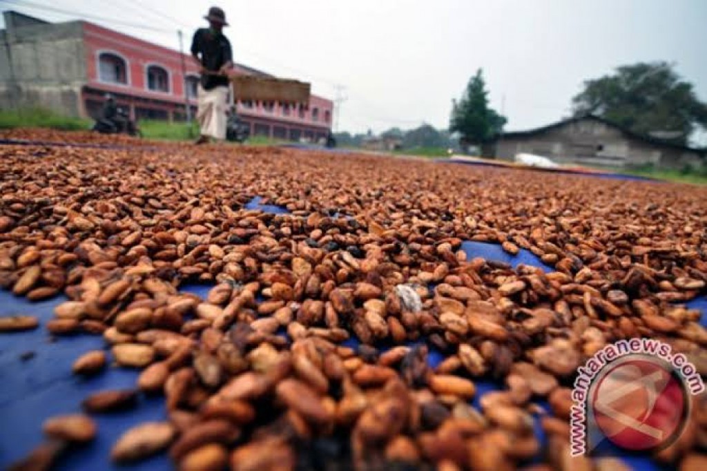 Menteri Agus Kuatkan Mitra Bisnis untuk Industri Kakao
